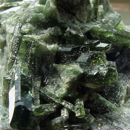 業(yè)務(wù)范圍 業(yè)務(wù)范圍
