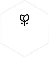 imgboxbg