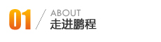 這是描述信息