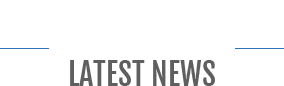 公司动态