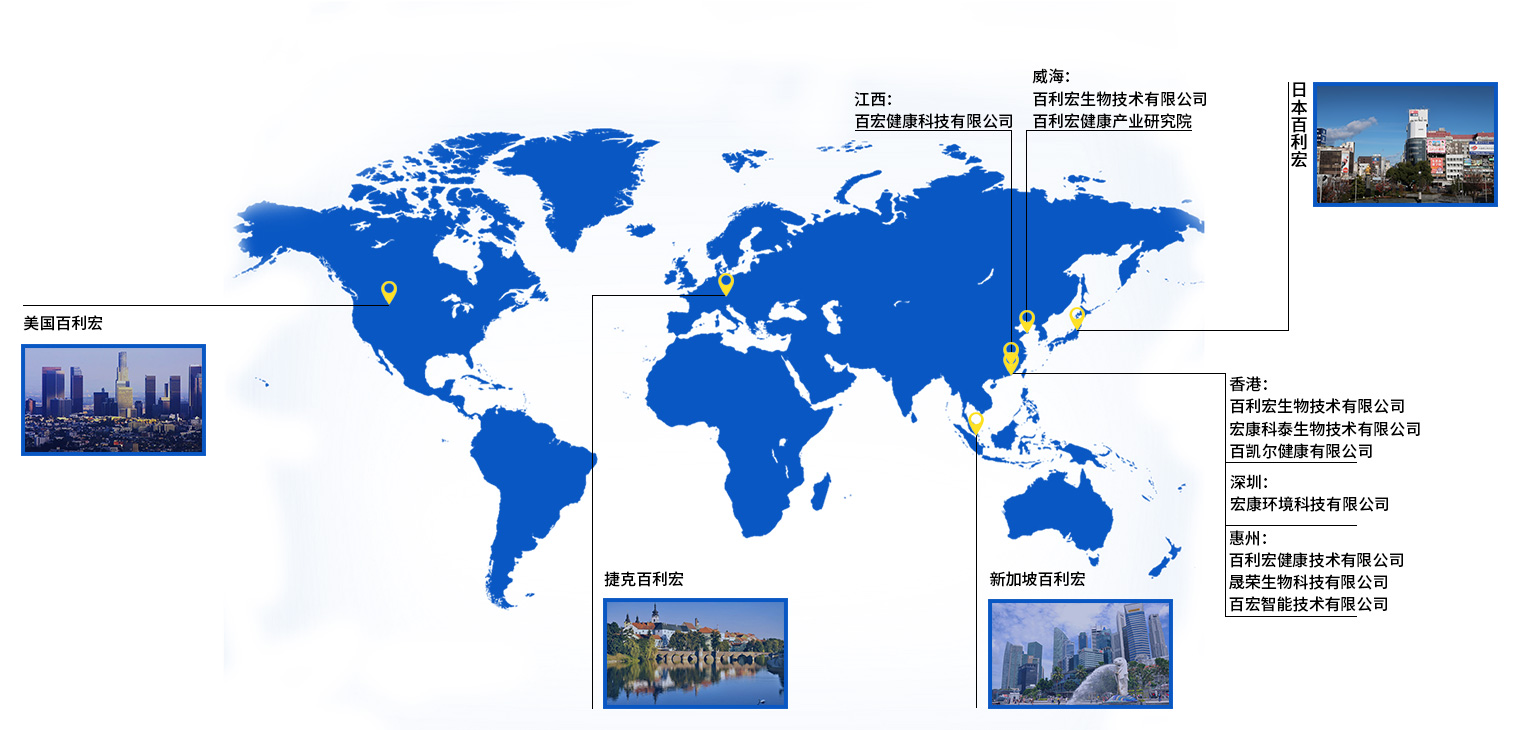 公司布局 公司布局