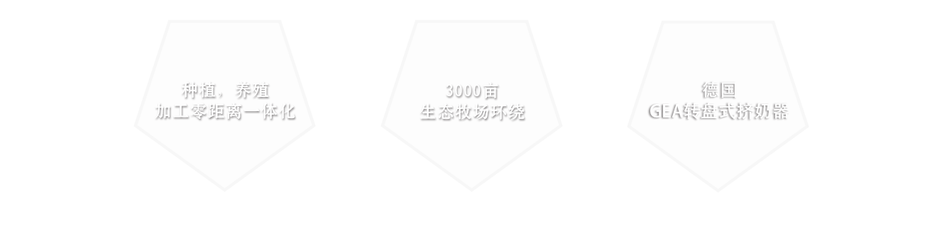 这是描述信息