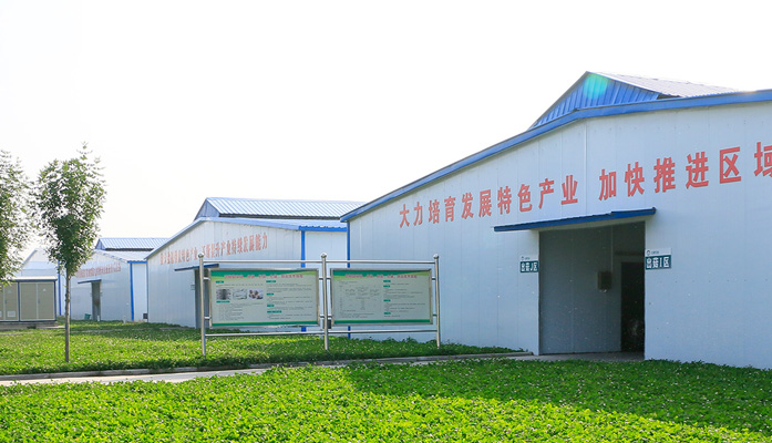 這是描述信息
