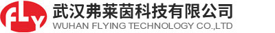 武漢弗萊茵科技有限公司