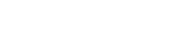 维森特 维森特