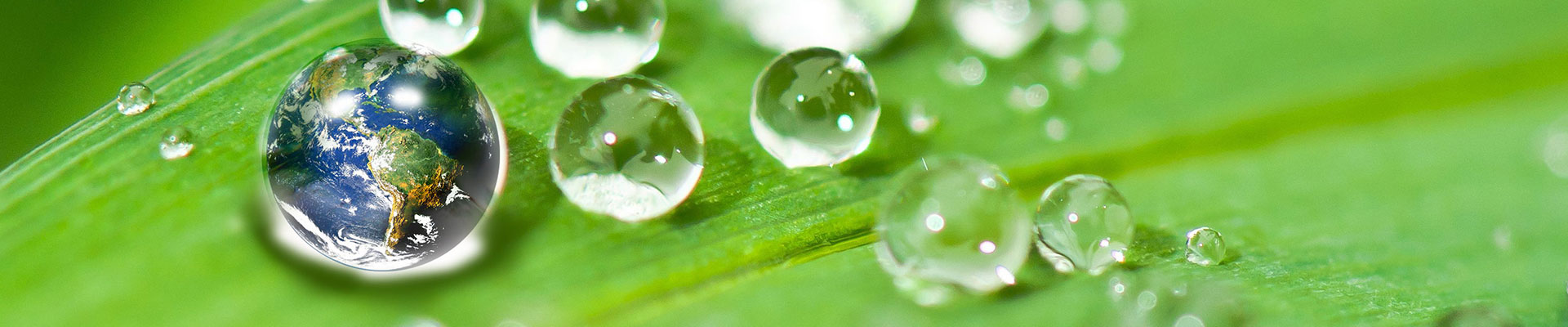 江蘇沃納生物科技有限公司 江蘇沃納生物科技有限公司
