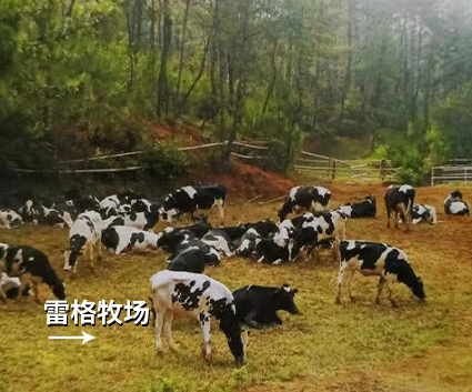 企業(yè)環(huán)境