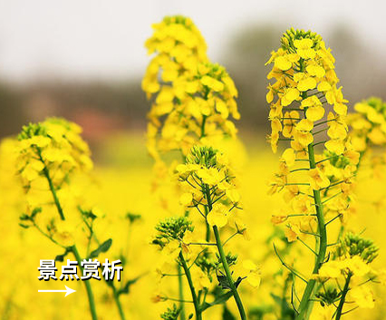 企業(yè)環(huán)境