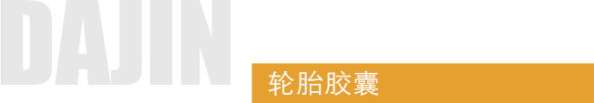 天津市大津輪胎膠囊有限公司