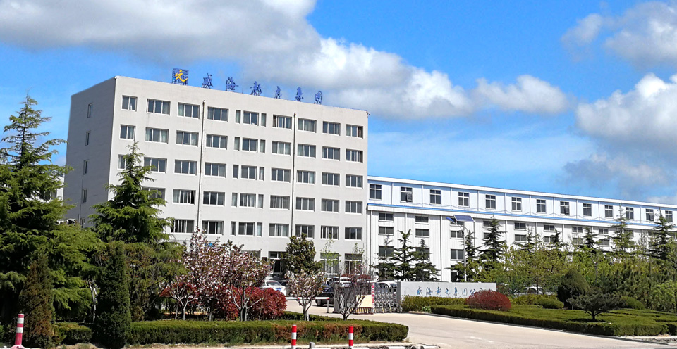 新元化工