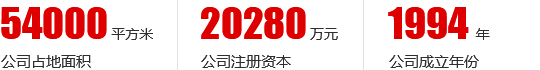 集团概况