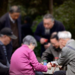 業(yè)務范圍