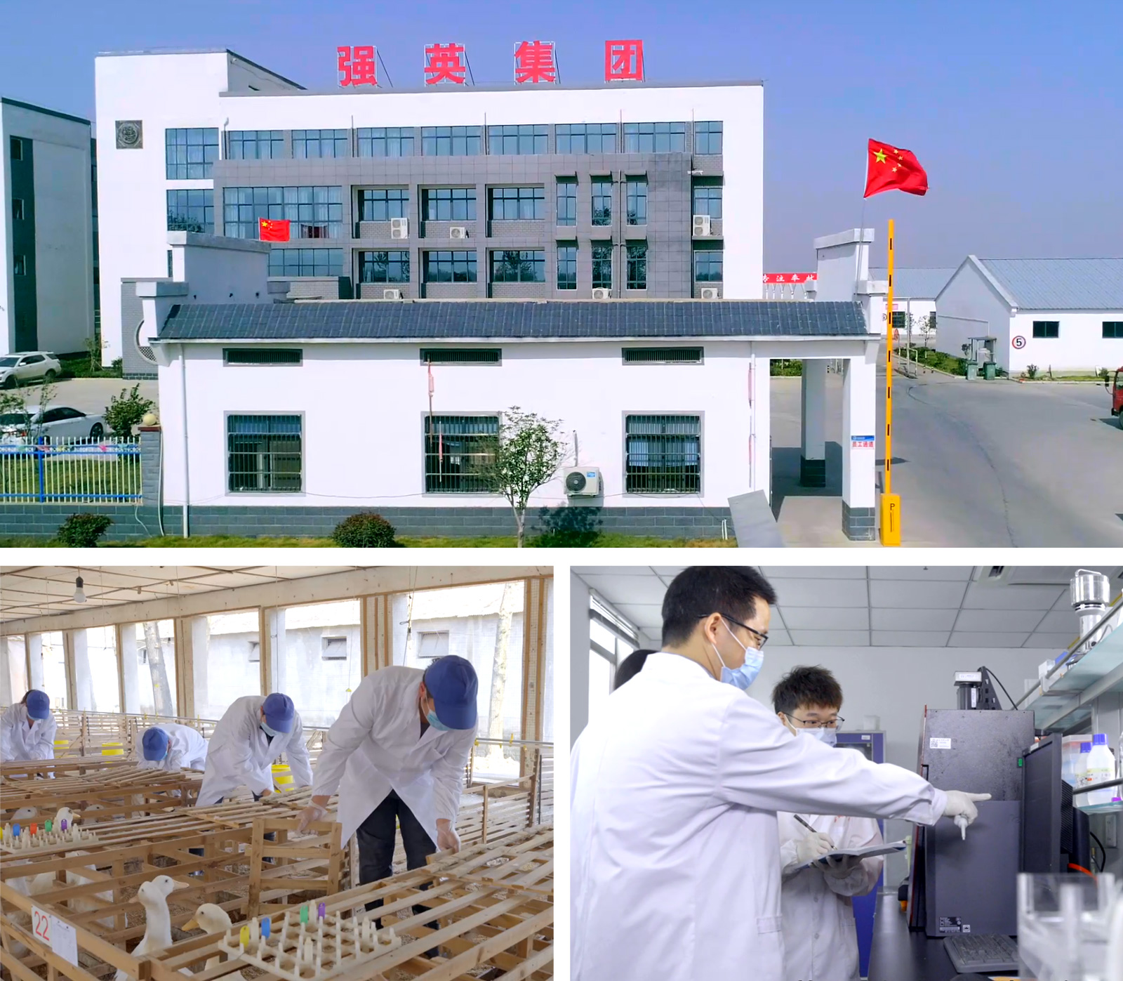 這是描述信息 這是描述信息