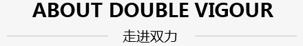 鄭州市雙力化工產(chǎn)品有限公司