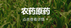 這是描述信息