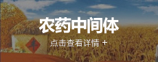 這是描述信息