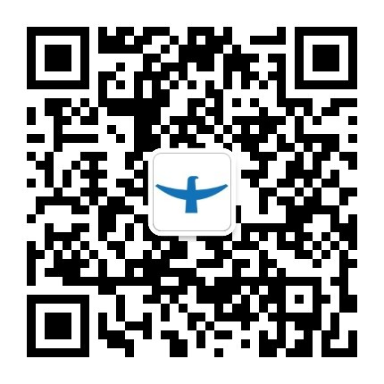 伴侣纳米 伴侣纳米