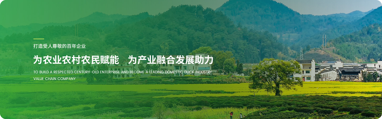 強英