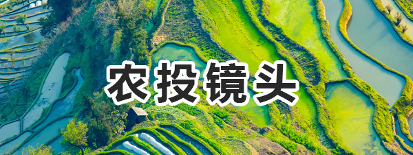 七香農投