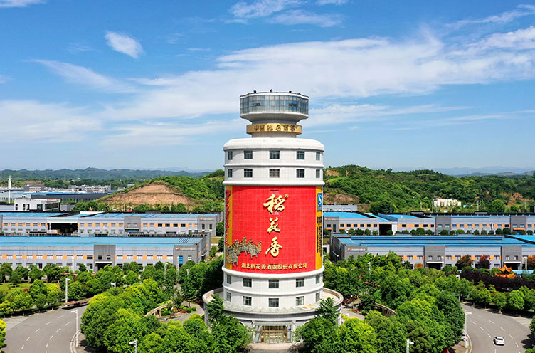 集團(tuán)簡(jiǎn)介