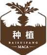  道地藥材