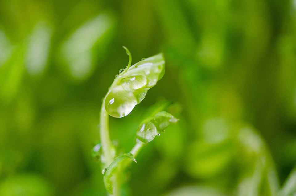 綠色制造配套產(chǎn)業(yè)