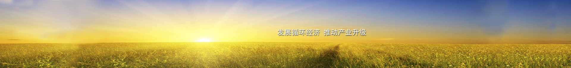 邦普產業