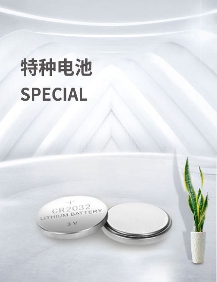 特种电池 特种电池