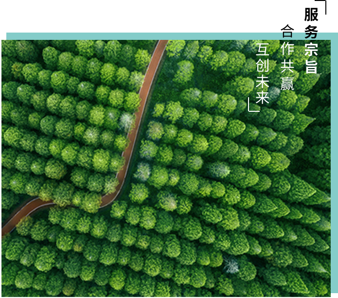 景华生态 景华生态