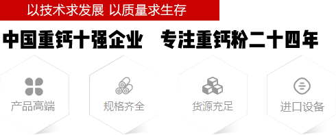廣西賀州市桂寶粉體有限責任公司
