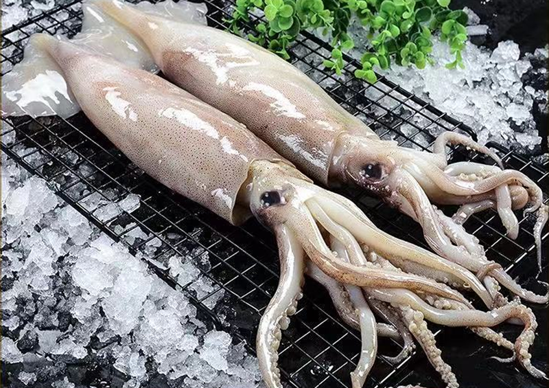 華盛水產 華盛水產