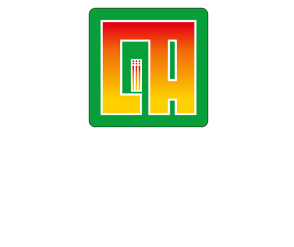 辰安水漆