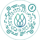 公司抖音 公司抖音