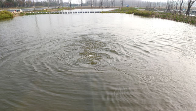 海安上湖人工濕地（日處理量：1.2萬噸）