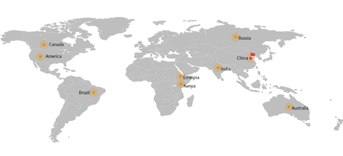 network network