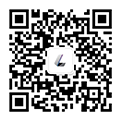 力試集團(tuán)（LSI）