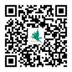 二维码 二维码