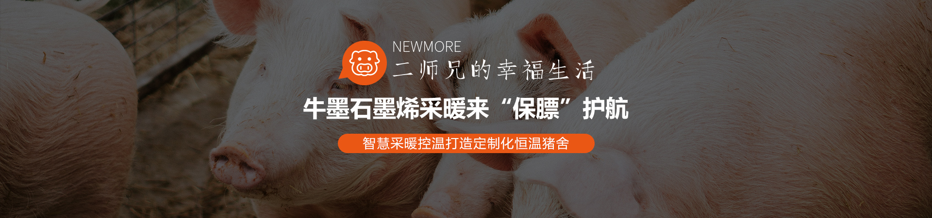 解决方案