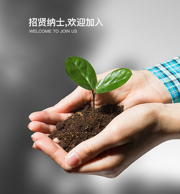 招聘英才 招聘英才