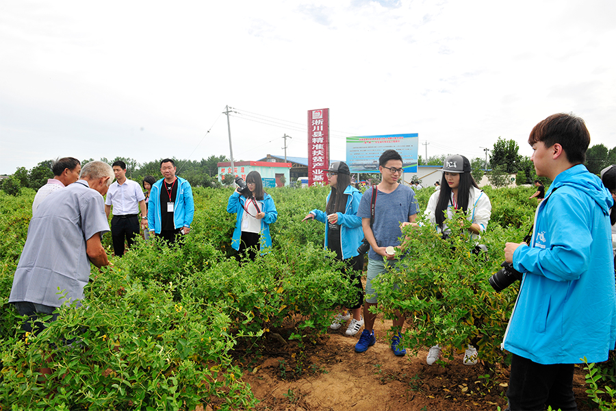 這是描述信息 這是描述信息