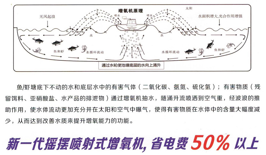 這是描述信息 這是描述信息