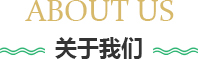 这是描述信息