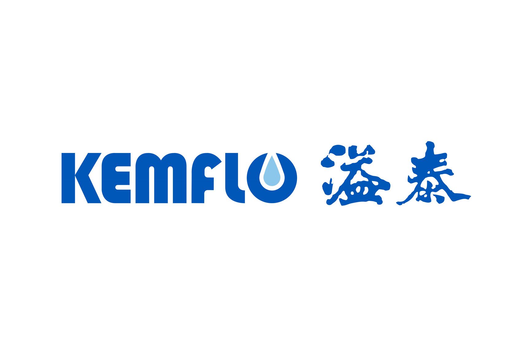 发展历程 发展历程