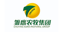 這是描述信息