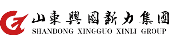 山东兴国新力控股集团有限公司