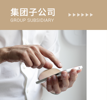 集團子公司 集團子公司