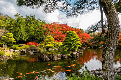 錦藝園