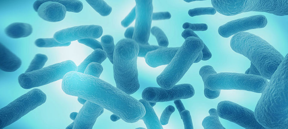 益可维生物 益可维生物