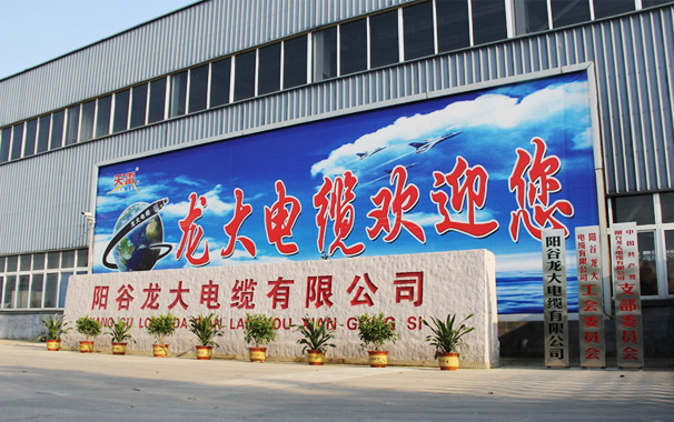 陽(yáng)谷龍大電纜有限公司