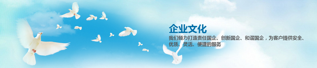 这是描述信息